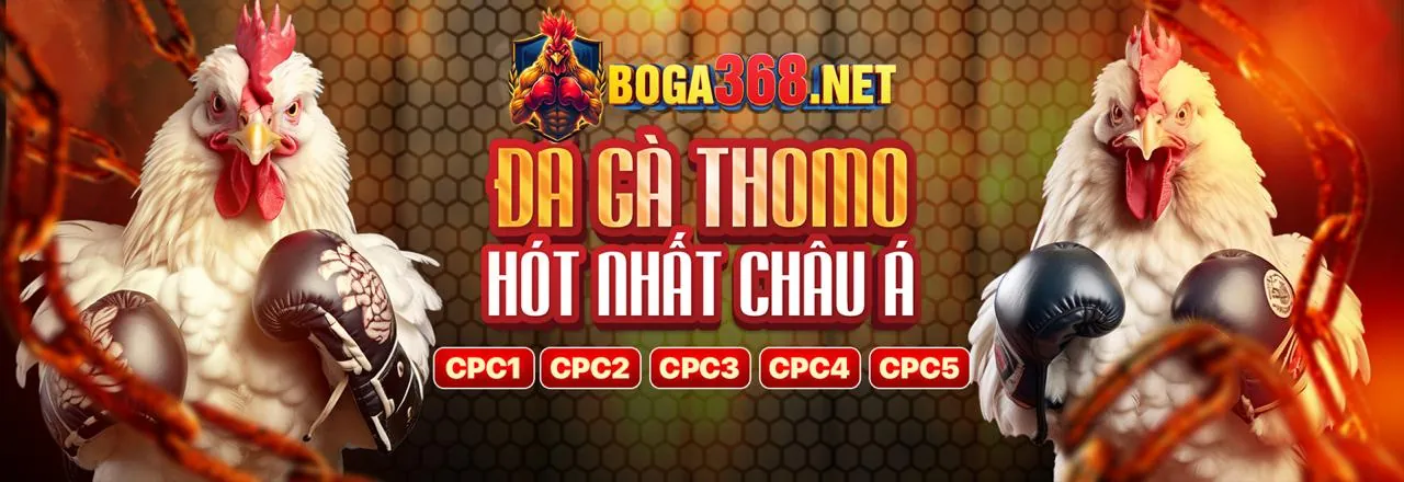 Đội ngũ hỗ trợ khách hàng của CS88 Link Mới